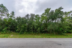 TBD SW 147TH LOOP, OCALA, FL 34473 - MLS#MFROM705569