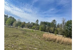 NE 135TH CT, WILLISTON, FL 32696 - MLS#MFROM705594
