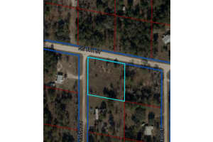 NE 135TH CT, WILLISTON, FL 32696 - MLS#MFROM705594