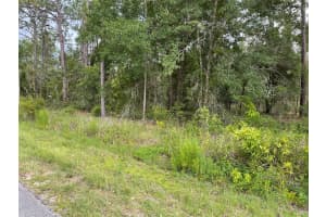 LOT 3 FALCON AVENUE, DUNNELLON, FL 34431 - MLS#MFROM705633