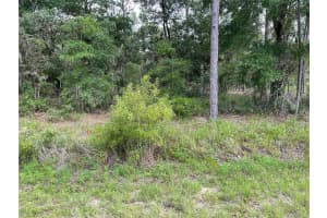 LOT 3 FALCON AVENUE, DUNNELLON, FL 34431 - MLS#MFROM705633