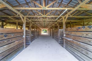 5800 145TH STREET, SUMMERFIELD, FL 34491 - MLS#MFROM705634