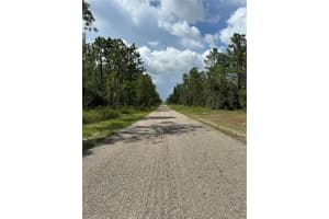 SE 133RD AVE, DUNNELLON, FL 34431 - MLS#MFROM705781