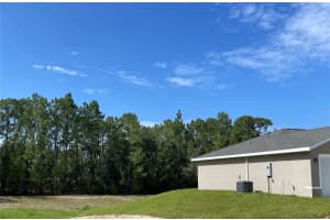 6268 133RD STREET ROAD, OCALA, FL 34473 - MLS#MFROM705825