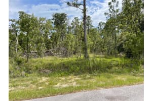 LOT 18 GERANIUM AVENUE, DUNNELLON, FL 34431 - MLS#MFROM705840