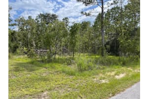 LOT 18 GERANIUM AVENUE, DUNNELLON, FL 34431 - MLS#MFROM705840
