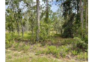 LOT 18 GERANIUM AVENUE, DUNNELLON, FL 34431 - MLS#MFROM705840