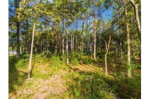 00 117 COURT, OCALA, FL 34482 - MLS#MFROM705908