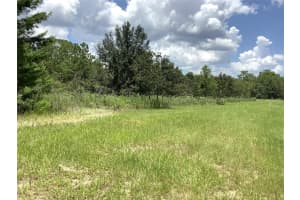 MARION OAKS BLVD #9, OCALA, FL 34473 - MLS#MFROM705920