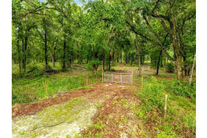 TBD HWY 315, FORT MC COY, FL 32134 - MLS#MFROM705922