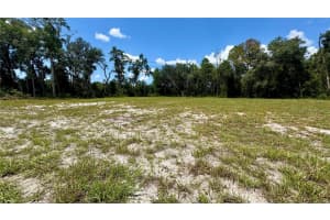 4619 WITHLACOOCHEE TRAIL, DUNNELLON, FL 34434 - MLS#MFROM705941