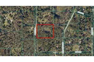 TBD LOT 2 144TH AVENUE, WILLISTON, FL 32696 - MLS#MFROM706006