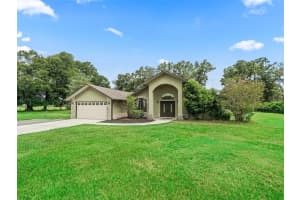 1975 150TH STREET, SUMMERFIELD, FL 34491 - MLS#MFROM706008