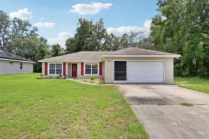 8670 164TH PLACE, SUMMERFIELD, FL 34491 - MLS#MFROM706048