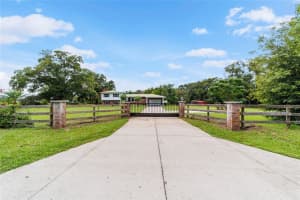 13660 80TH AVENUE, SUMMERFIELD, FL 34491 Sold 09/08/25