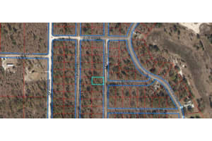 1270 151ST AVENUE, WILLISTON, FL 32696 - MLS#MFROM706062