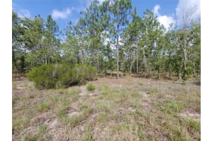 1270 151ST AVENUE, WILLISTON, FL 32696 - MLS#MFROM706062