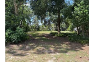PINE RIDGE RD, LEESBURG, FL 34788 - MLS#MFROM706109
