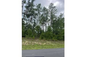 SW 128TH PL, OCALA, FL 34473 Sold 09/03/25
