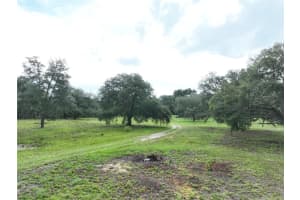 6671 131ST AVENUE, WILLISTON, FL 32696 - MLS#MFROM706158