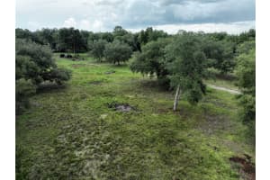 6671 131ST AVENUE, WILLISTON, FL 32696 - MLS#MFROM706158