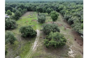 6671 131ST AVENUE, WILLISTON, FL 32696 - MLS#MFROM706158