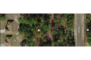 2174 TACOMA DRIVE, CITRUS SPRINGS, FL 34434 - MLS#MFROM706179