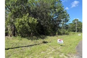 2174 TACOMA DRIVE, CITRUS SPRINGS, FL 34434 - MLS#MFROM706179
