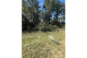 2190 TACOMA DRIVE, CITRUS SPRINGS, FL 34434 - MLS#MFROM706180