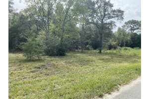 Lot 9 IVY PLACE, DUNNELLON, FL 34432 - MLS#MFROM706213