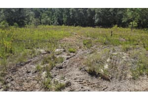 8900 145TH STREET, DUNNELLON, FL 34432 - MLS#MFROM706242