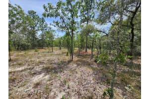 Lot 14 INDIAN HILL DRIVE, DUNNELLON, FL 34432 Sold 09/02/25