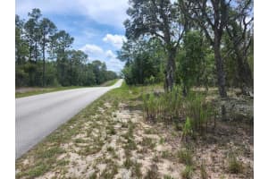 Lot 14 INDIAN HILL DRIVE, DUNNELLON, FL 34432 Sold 09/02/25