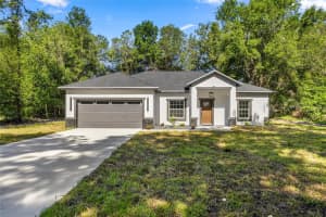14660 33RD TERRACE, SUMMERFIELD, FL 34491 - MLS#MFROM706270