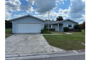 17738 95TH CIRCLE, SUMMERFIELD, FL 34491 - MLS#MFROM706313