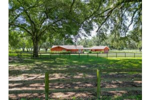 2380 97TH PLACE, OCALA, FL 34476 - MLS#MFROM706336