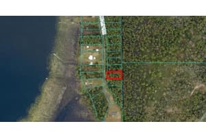NE 117TH TERRACE, FORT MC COY, FL 32134 - MLS#MFROM706348