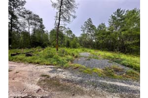 NE 112TH CT, FORT MC COY, FL 32134 - MLS#MFROM706349
