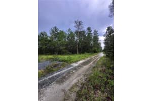 NE 112TH CT, FORT MC COY, FL 32134 - MLS#MFROM706349