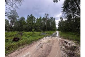 NE 112TH CT, FORT MC COY, FL 32134 - MLS#MFROM706349