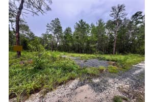 NE 112TH CT, FORT MC COY, FL 32134 - MLS#MFROM706349