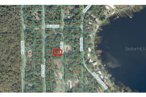 NE 111 CT, FORT MC COY, FL 32134 - MLS#MFROM706350