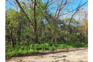 10160 49TH COURT, BELLEVIEW, FL 34420 - MLS#MFROM706378