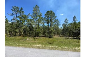 SE 105TH LN, DUNNELLON, FL 34431 - MLS#MFROM706398