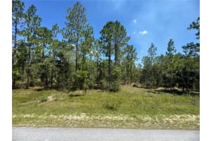 SE 105TH LN, DUNNELLON, FL 34431 - MLS#MFROM706398