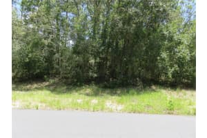 00 132ND PLACE, OCALA, FL 34473 - MLS#MFROM706428