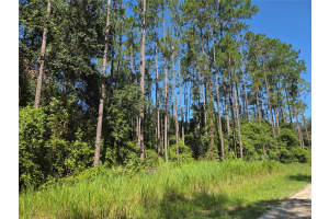 TBD NE NE 130TH COURT RD, FORT MC COY, FL 32134 - MLS#MFROM706449