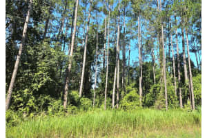 TBD NE NE 130TH COURT RD, FORT MC COY, FL 32134 - MLS#MFROM706449
