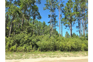 TBD NE NE 130TH COURT RD, FORT MC COY, FL 32134 - MLS#MFROM706449