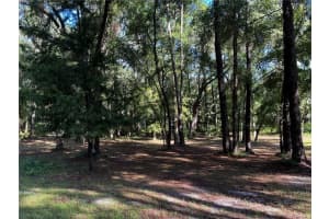 TBD LAKE VIEW DRIVE, OCALA, FL 34482 - MLS#MFROM706467